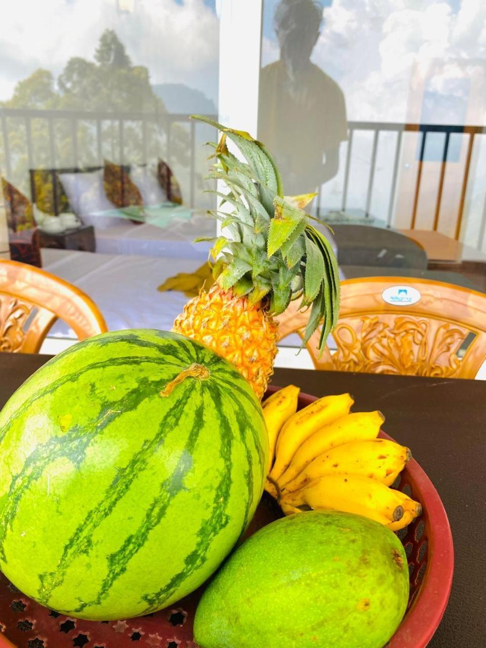 Pleasant Peak Bed & Breakfast Ела Екстериор снимка